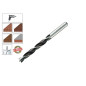 Alpen Holz Drill Bits For Wood