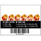 Wera Kraftform VDE 1060 i/1062 i/6 Screwdriver Set