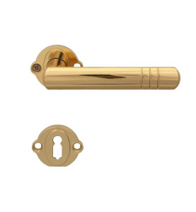 Wega Door Handle - mounted, Gold