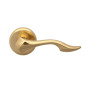 Dolphin Interior Door Handles - WC, Gold Dolphin Interior Door Handles - WC, Gold