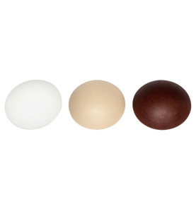 Self-adhesive Wall Buffer Fix-o-moll - White, beige, brown