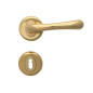 Draco Interior Door Handles - Standard Key, Gold
