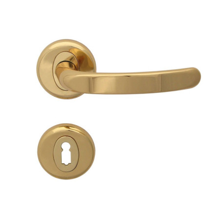 Regulus Door Handles - Gold, For standard key