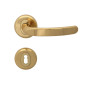 Regulus Interior Door Handles - Standard Key, Gold