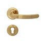 Regulus Interior Door Handles - For Cylinder, Gold