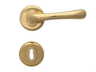 Draco Door Handle - For Standart Key, Gold
