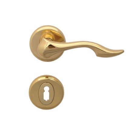 Dolphin Door Handle - For Standart Key, Gold