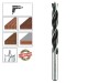 Alpen Holz TM 5 Wood Drill Bit - 10 mm