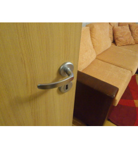 Regulus Door Handles - Mounted