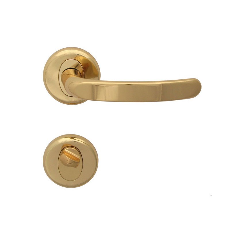 Regulus Interior Door Handles - WC, Gold