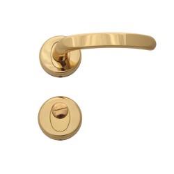 Regulus Interior Door Handles - WC, Gold