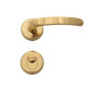 Regulus Interior Door Handles - WC, Gold