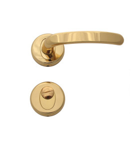 Regulus Door Handles - Gold, For WC