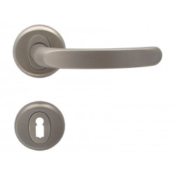 Regulus Interior Door Handles - Matte Nickel, For Standard Key