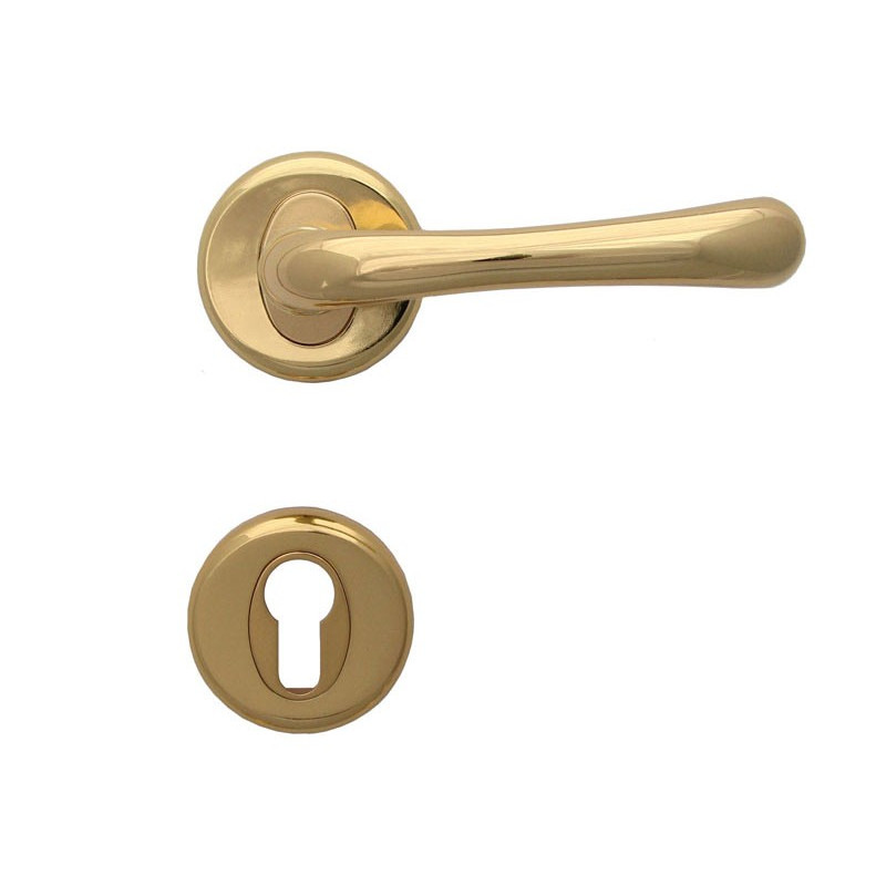 Draco Interior Door Handles - For Cylinder, Gold