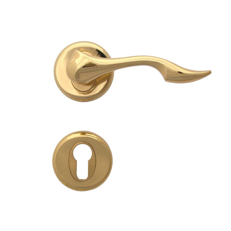 Dolphin Interior Door Handles - For Cylinder, Gold