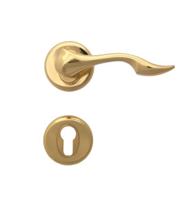 Dolphin Door Handle - For Cylinder, Gold