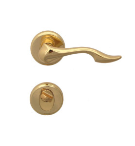 Dolphin Door Handle - For WC, Gold