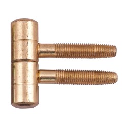 Screw Door Hinge - 16 mm, Brass