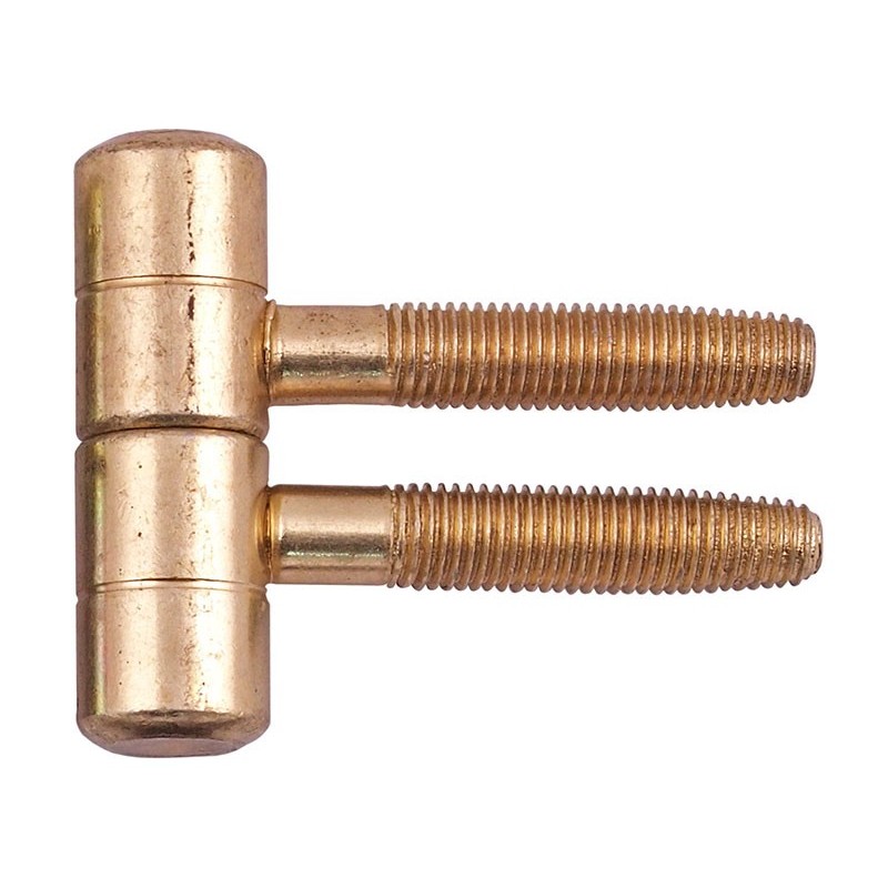 Screw Door Hinge - 16 mm, Brass
