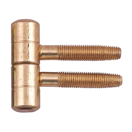 Screw Door Hinge - 16 mm, Brass