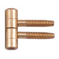 Screw Door Hinge - 16 mm, Brass