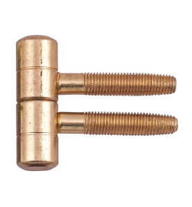 Screw Door Hinge - 16 mm, Brass