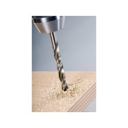 Alpen Profi Holz Drill Bit For Wood 1/4" Hexagonal Shank - 8.0 mm