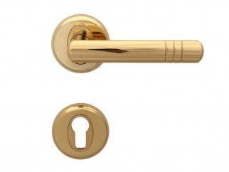 Wega Door Handle - For Cylinder, Gold
