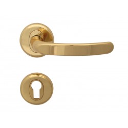 Regulus Door Handles - Gold, For cylinder