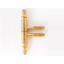 Decorative Screw Door Hinge - 9 mm, Brass